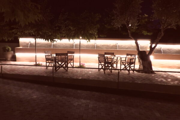 DSCN0331