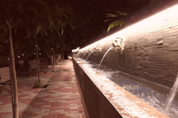 DSCN0335